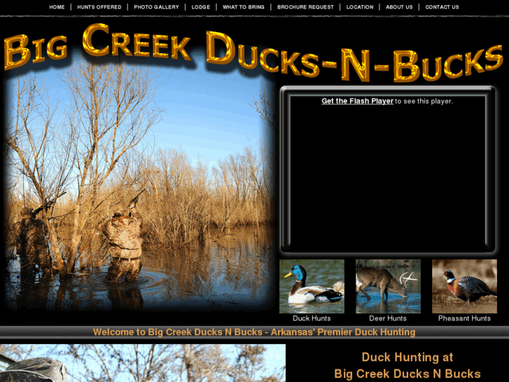 www.bigcreekducksnbucks.com