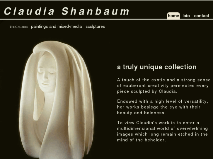 www.claudiashanbaum.com