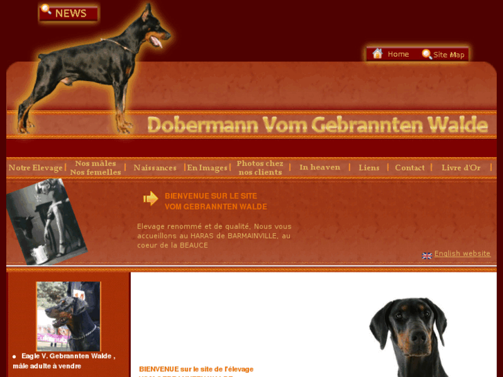 www.dobermann-dgw.com