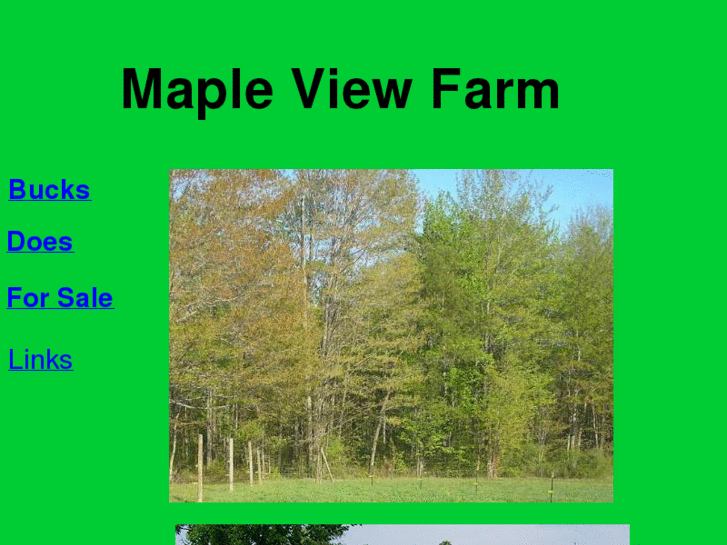 www.mapleviewfarm.org