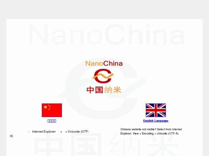 www.nanochina.cn