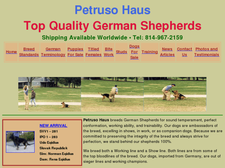 www.petrusohaus.com