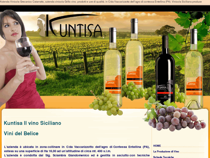 www.vini-sicilia.com