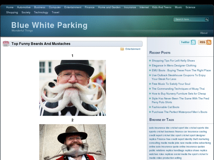 www.bluewhiteparking.com