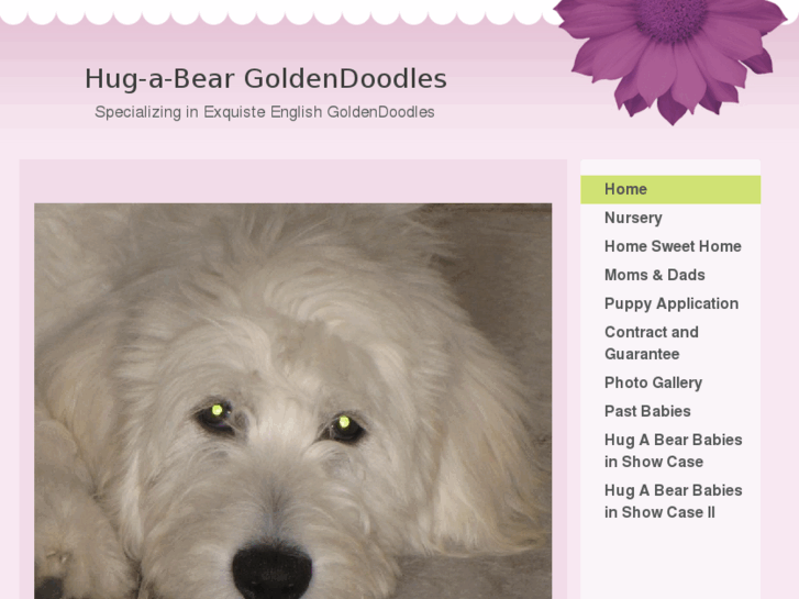 www.hugabeargoldendoodles.com