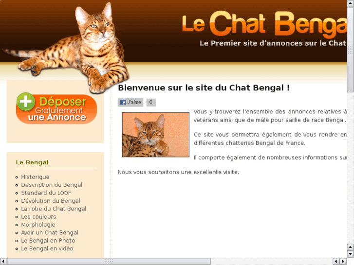 www.le-chat-bengal.com