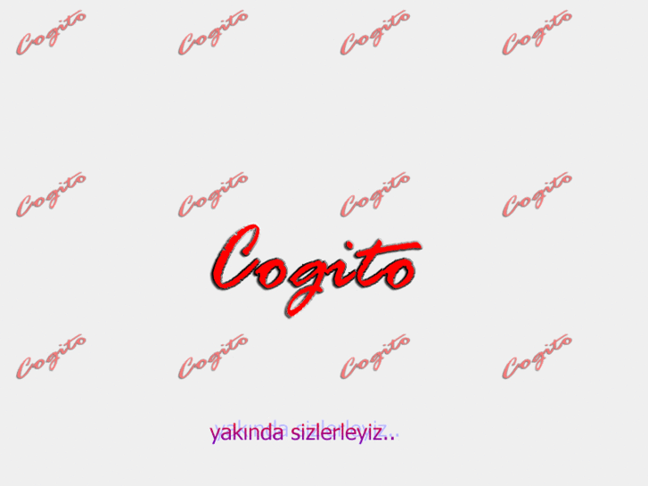 www.cogitoegitim.com