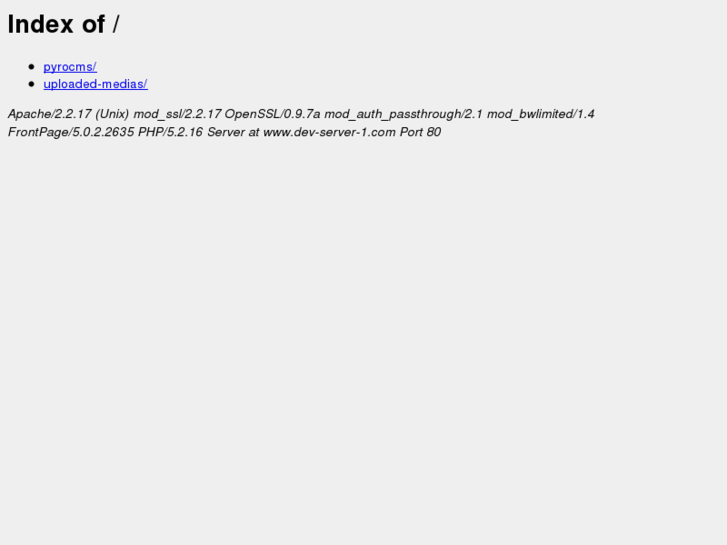 www.dev-server-1.com