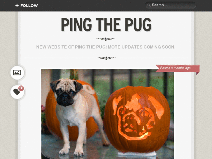 www.pingthepug.com