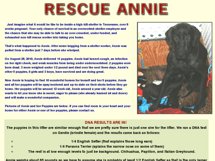 www.rescueannie.com