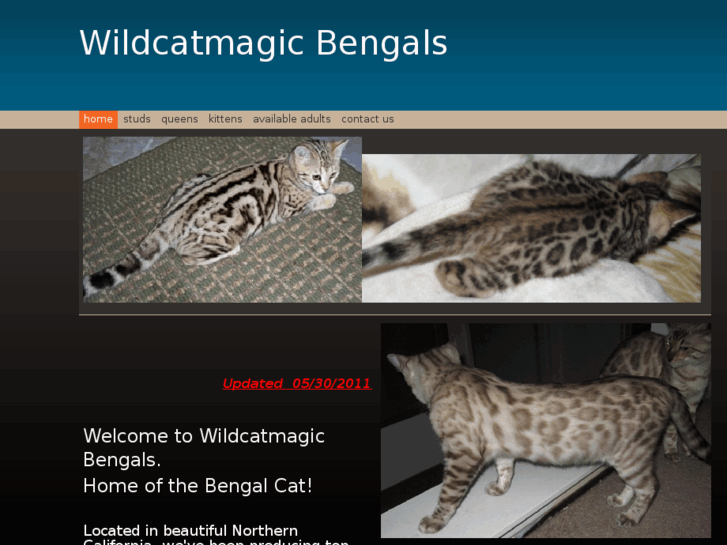 www.wildcatmagic.net