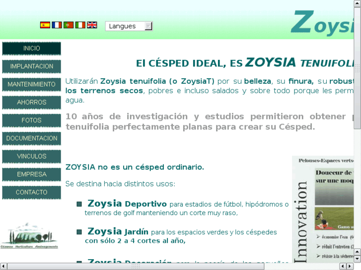 www.zoysiat.com