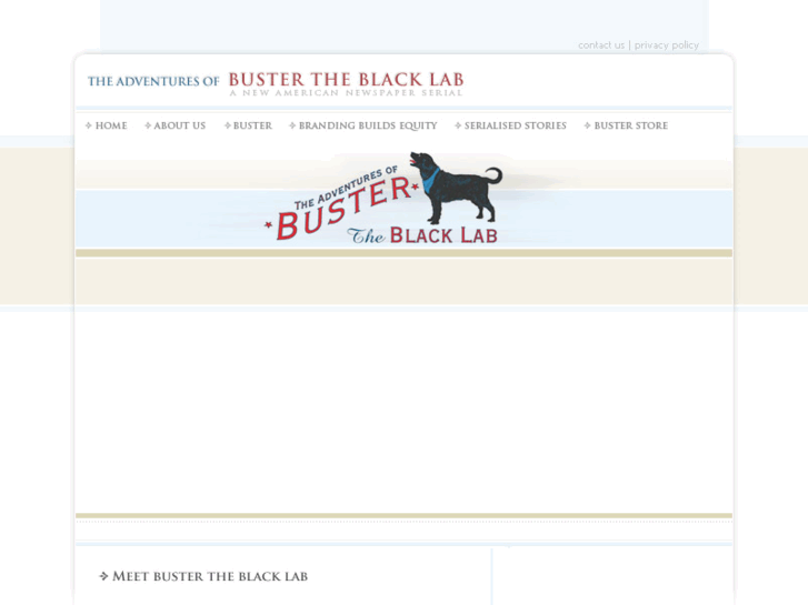 www.bustertheblacklab.com