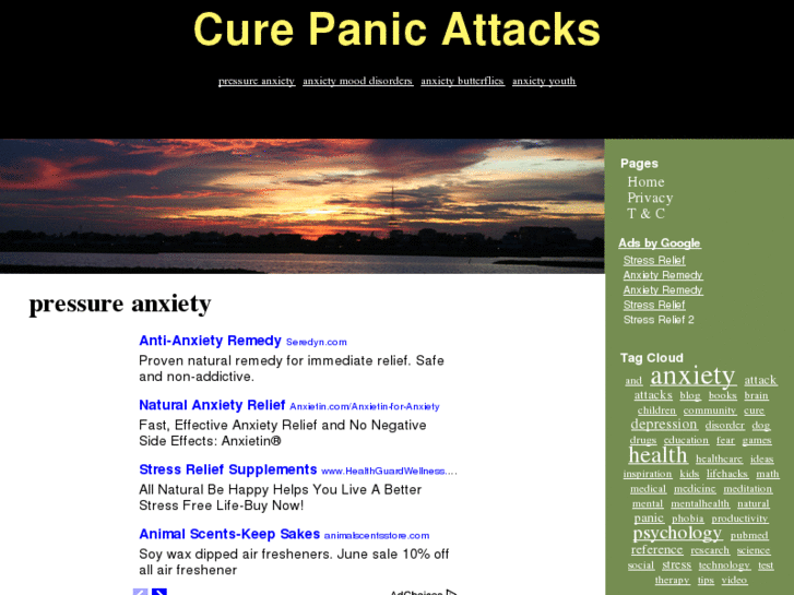 www.cure-panic-attacks.com