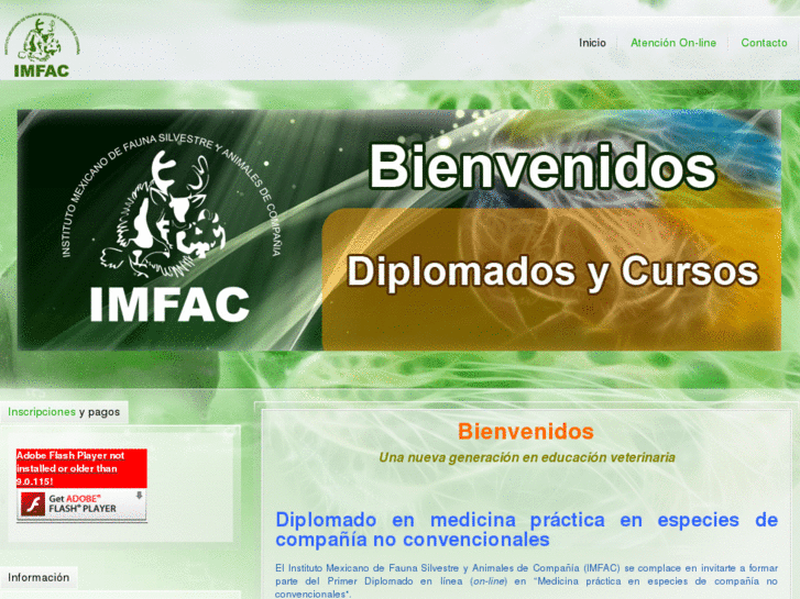 www.imfac.net