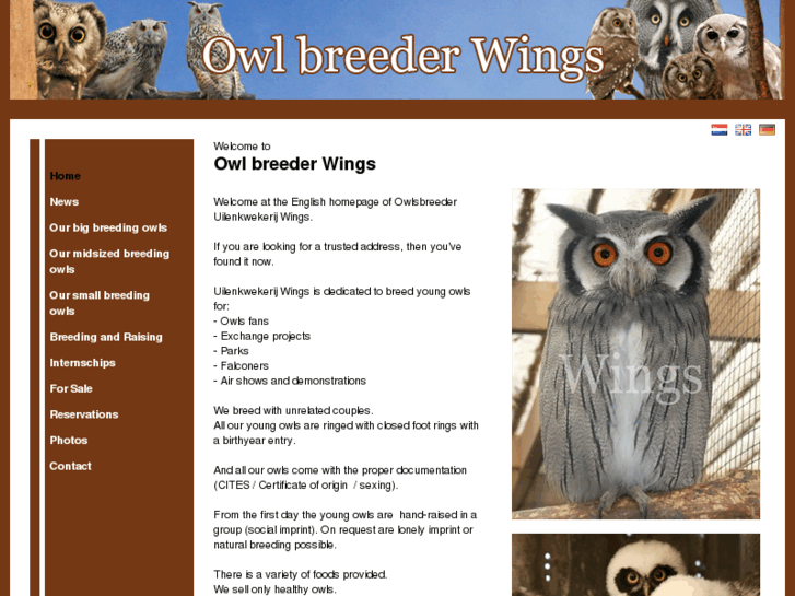 www.owlbreederwings.com