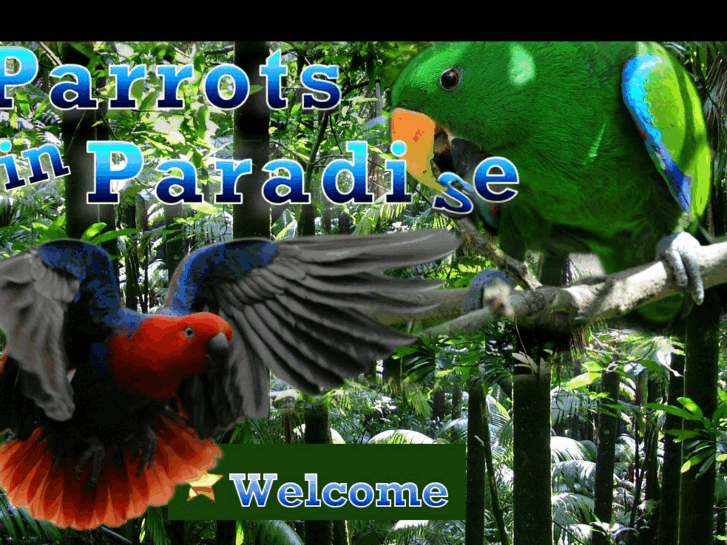 www.parrotsinparadise.net