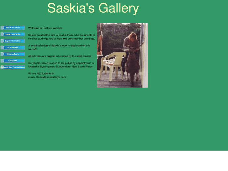 www.saskiableys.com