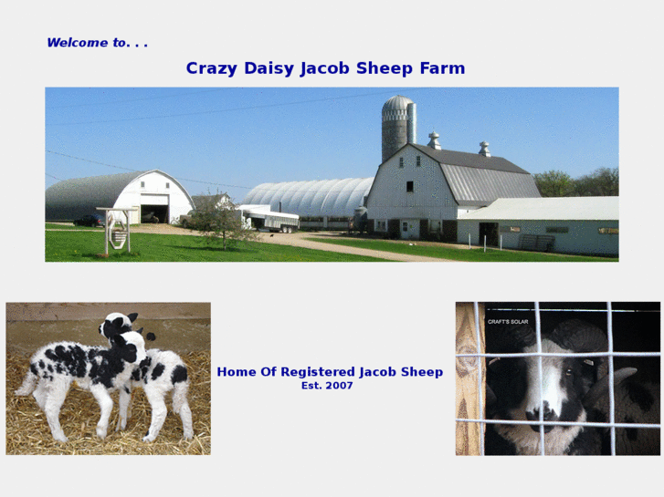 www.crazydaisyjacobs.com