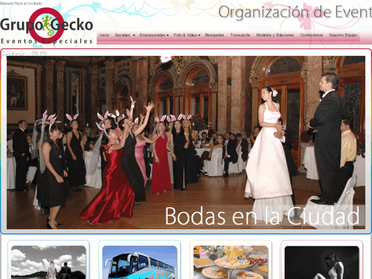 www.grupo-gecko.com