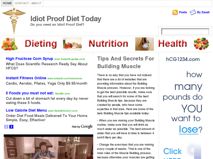 www.idiotproofdiettoday.com