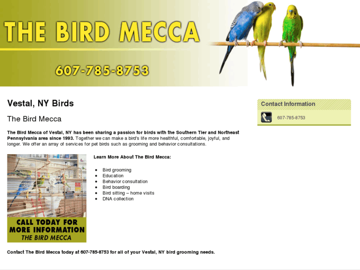 www.thebirdmecca.net