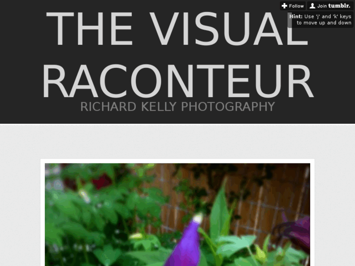 www.thevisualraconteur.com
