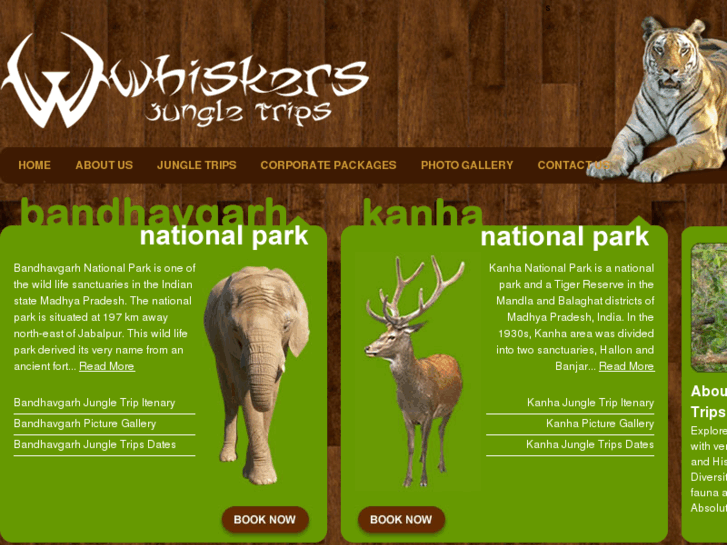 www.whiskersjungletrips.com