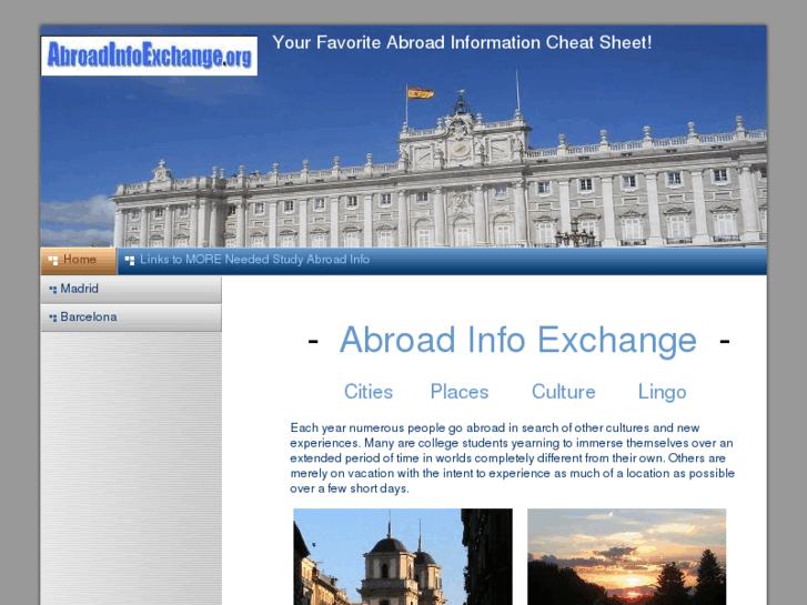 www.abroadinfoexchange.org