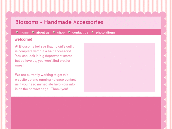 www.blossomsforgirls.com