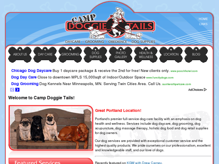 www.campdoggietails.com