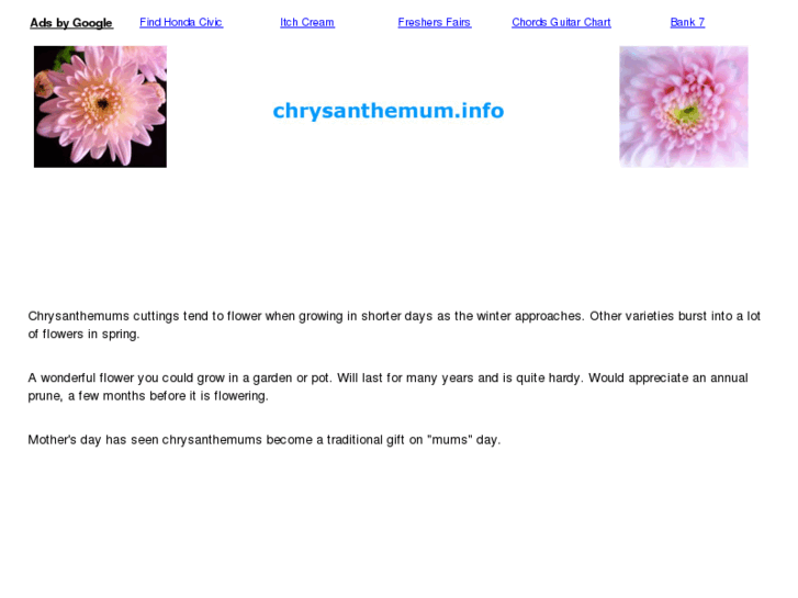 www.chrysanthemum.info