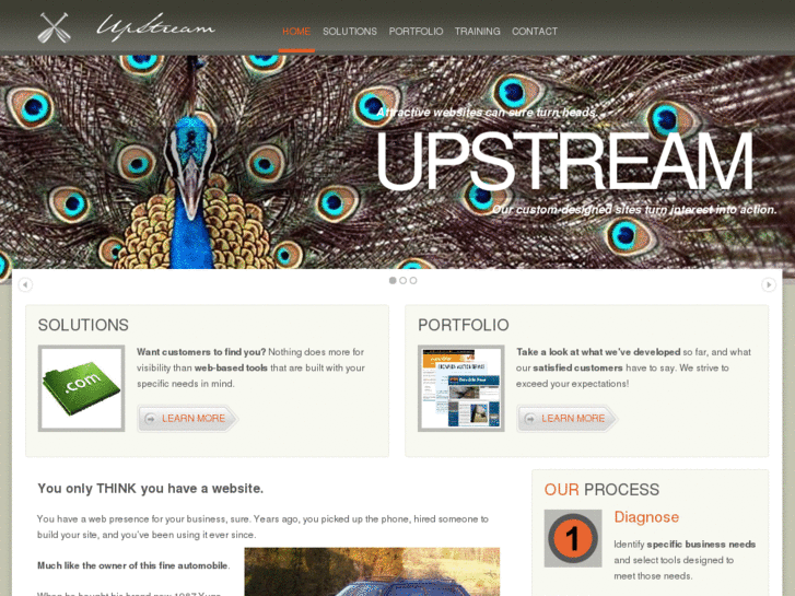 www.developmentdrydock.com