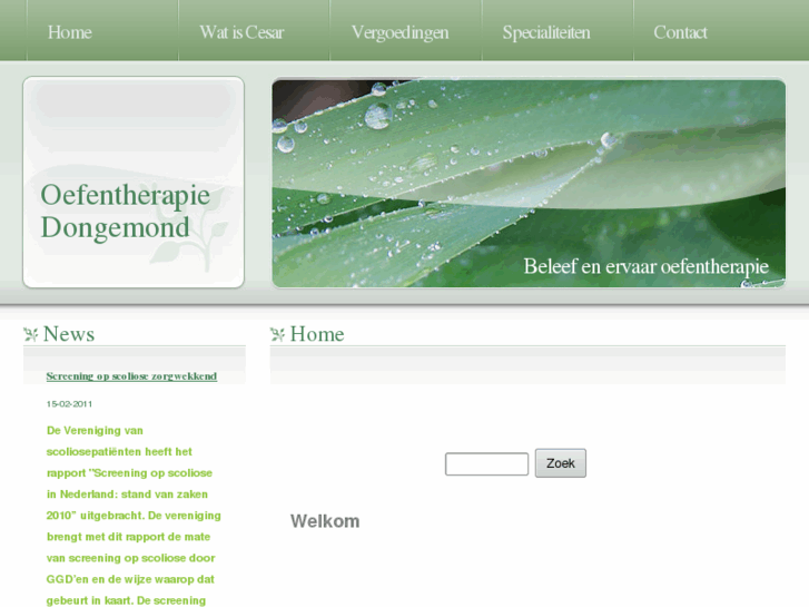 www.oefentherapie-dongemond.com