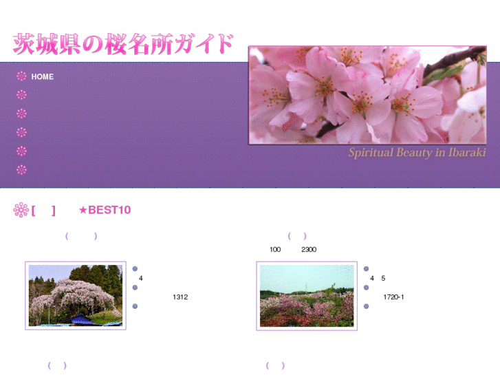 www.sakura-navi.com