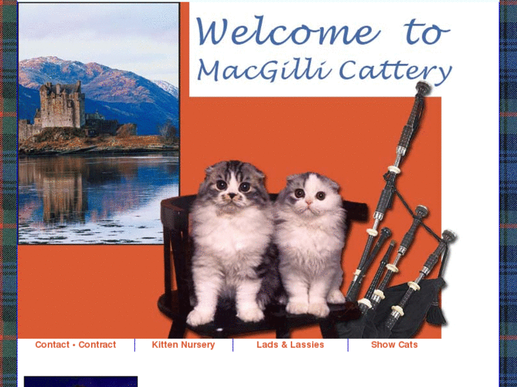 www.scottish-fold-cattery.com