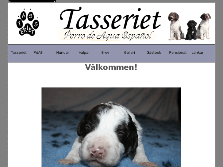 www.tasseriet.com