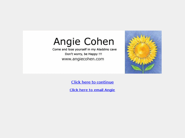 www.angiecohen.com