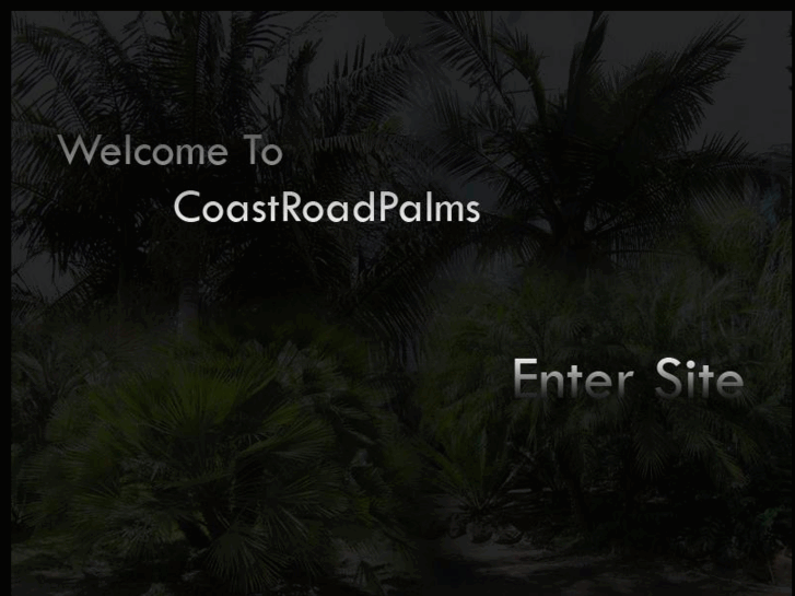 www.coastroadpalms.com