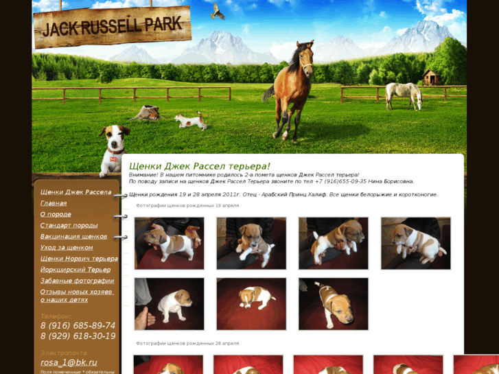 www.jackrussel-park.ru