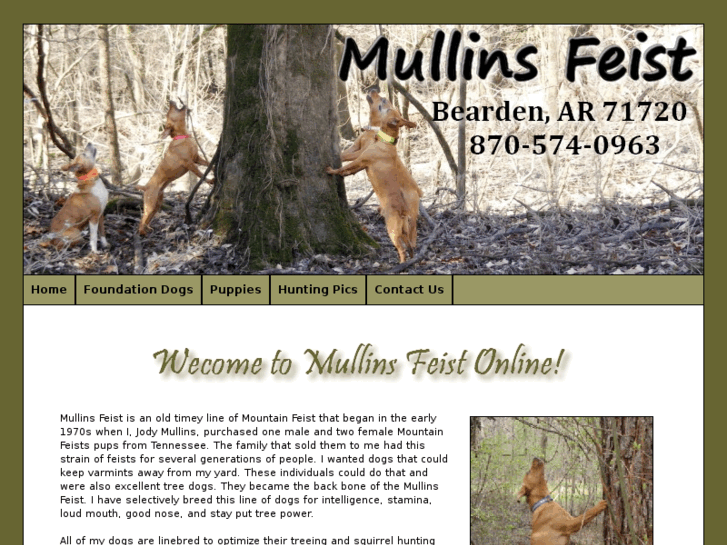 www.mullinsfeist.com