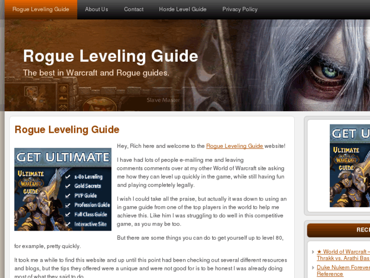 www.theroguelevelingguide.net