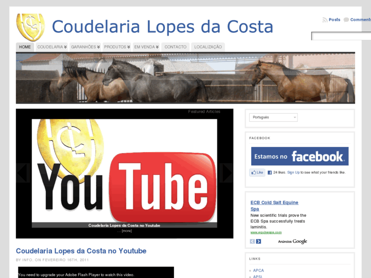 www.coudelarialopesdacosta.com