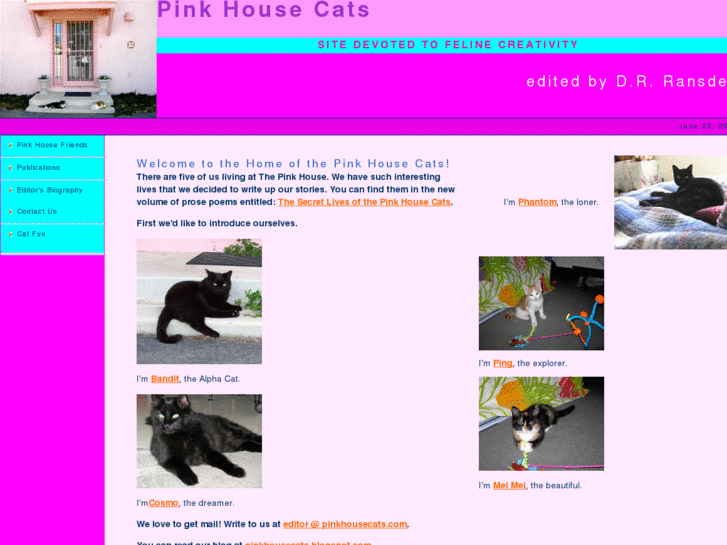 www.pinkhousecats.com