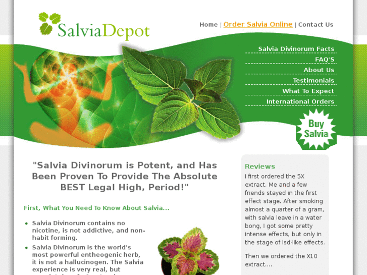www.salviadepot.com