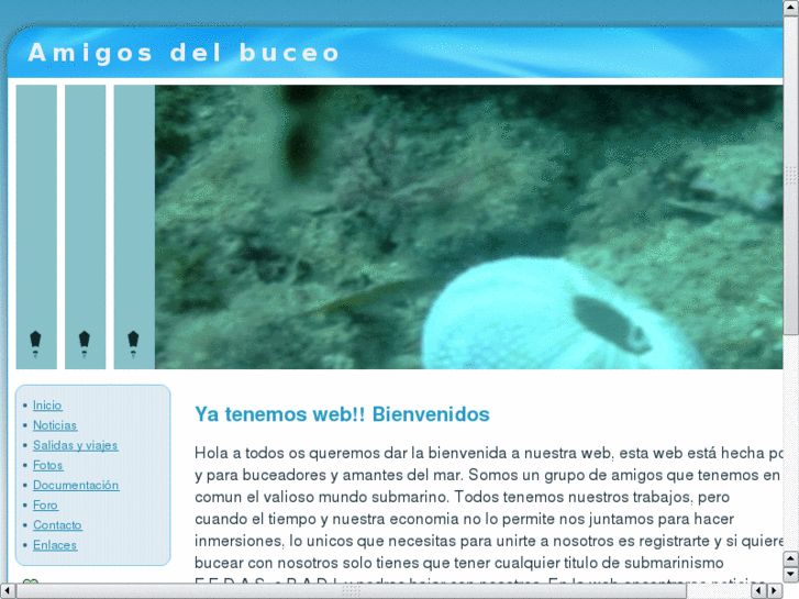 www.amigosdelbuceo.es