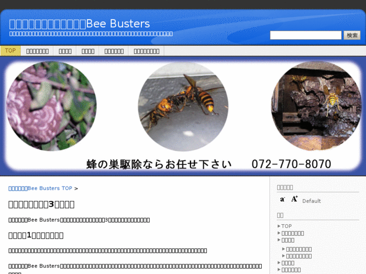 www.beebusters.jp