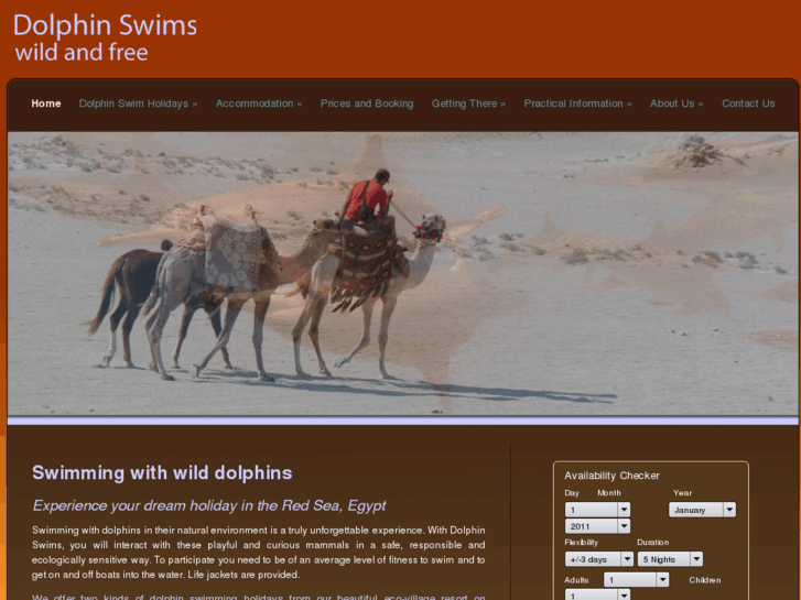 www.dolphinswims.co.uk