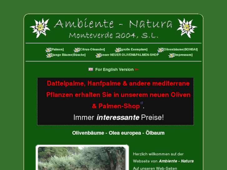 www.olivenbaum.es