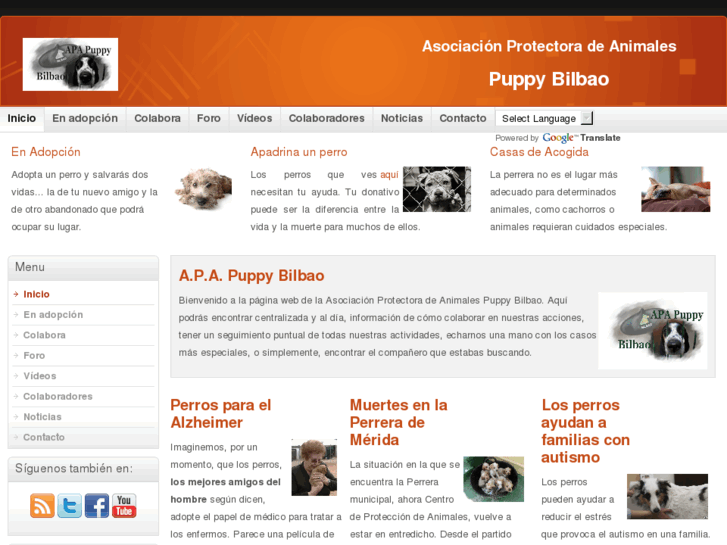 www.puppybilbao.org